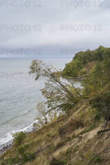 Cliff coast on Nordperd, nature reserve, Baltic resort Göhren, Baltic Sea, Rügen island,