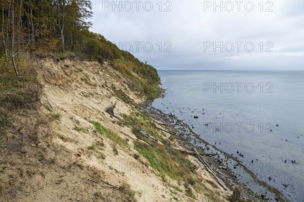 Cliff coast on Nordperd, view of the sea from above, birds on the coast, nature reserve, Baltic