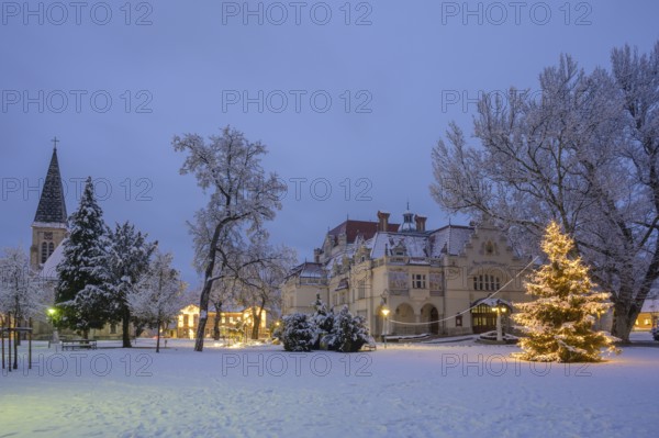 Winter in the theatre park with St. Mary's Church and Christmas tree, Berndorf, Lower Austria,