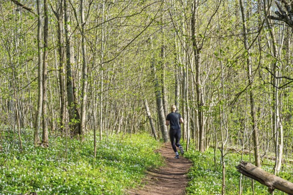 Woman running on a nature trail in a lush forest with budding leaves on the trees and flowering