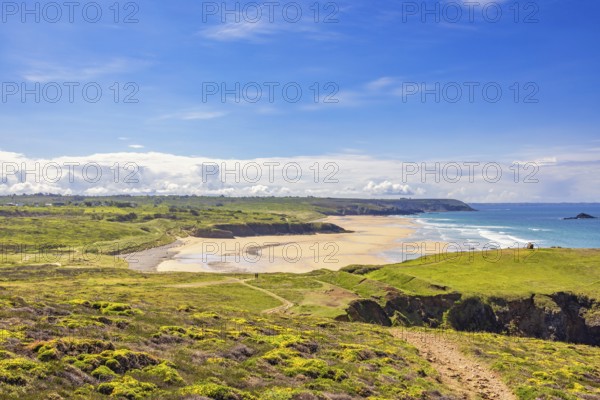 Scenics view at a natural sand beach from a flowering lush green moor with walking trails a sunny