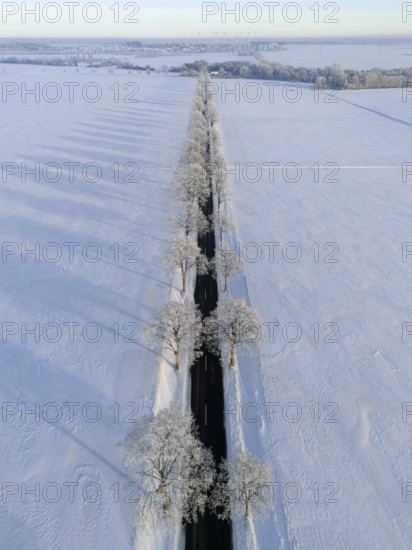 Straight road with trees and long shade in a snowy winter landscape, aerial view, winter,