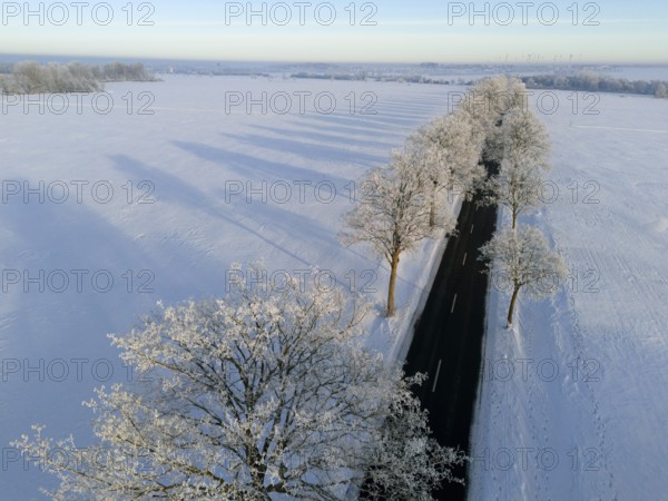 Snowy landscape with a tree-lined road and long shadows in sunlight, aerial view, winter,