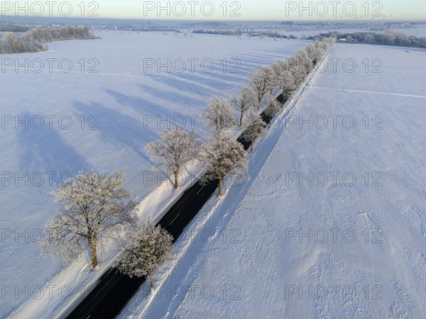 Landscape in winter with snow-covered fields and trees along a road, long shadows visible, aerial
