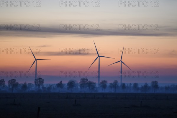 Three wind turbines at dusk with trees and a red blue sky, with trees as silhouettes, Hüde, Dümmer