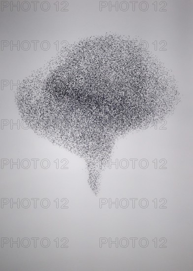 Starling (Sturnus vulgaris), huge flock in formation flight of a so-called murmuration in defence
