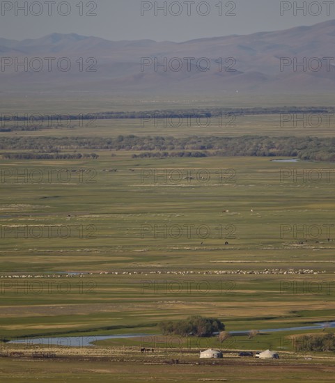 Yurts with large flock of sheep and horses in an extensive Mongolian steppe landscape with