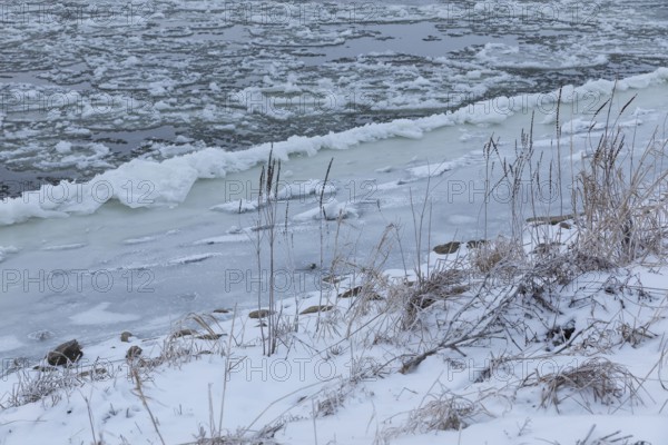Cold winter morning on the Elbe with floating ice floes, snow and frozen banks of the Elbe,
