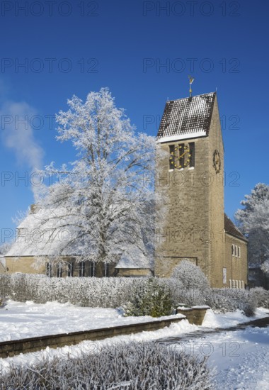 Church with snow-covered trees against a clear blue sky, winter scene, St. Mark's Church, snow,