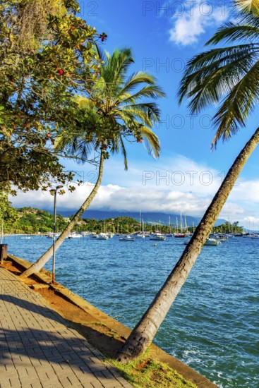 Boats anchored off the coast of Ilhabela on the north coast of Sao Paulo, Ilhabela, Sao Paulo,