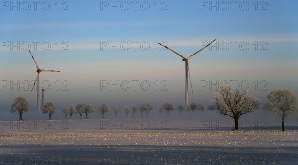 Wind turbines and snow-covered trees in a clear winter landscape, wind turbines between Solschen