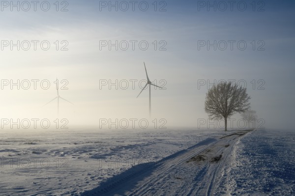 Snow-covered landscape in fog with wind turbines and a tree under a blue sky, wind turbine and tree