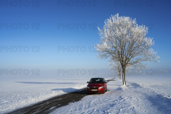 Red car parked next to a snow-covered tree on a lonely road under bright blue sky, Skoda Fabia and