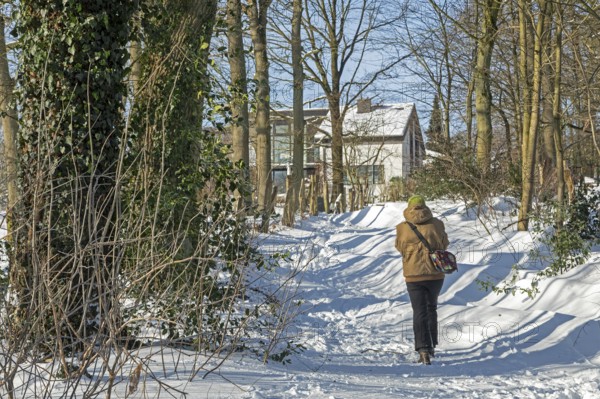 Man walking in snow, snowy path, trees, winter, Sieversen, Samtgemeinde Rosengarten, Lower Saxony,