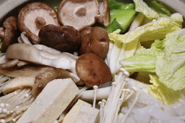 Japanese vegan nabe or nabemono soup dish with Chinese cabbage, tofu, enoki and shitake mushrooms