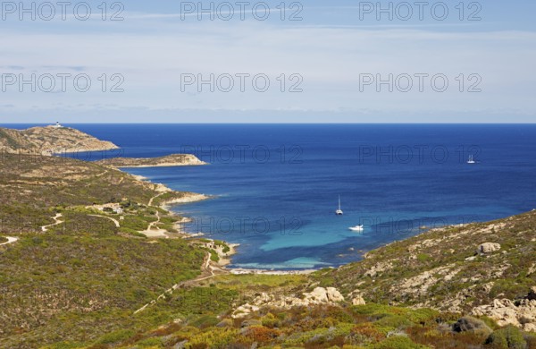 Coast at Punta de la Revellata, behind the lighthouse, Calvi, Haute Corse Department, Corsica,