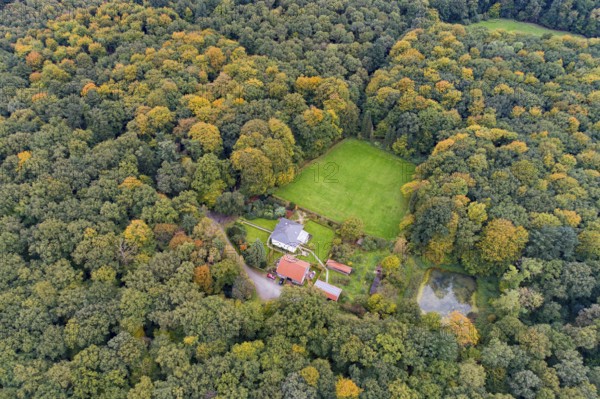 Aerial view of a beautifully coloured forest, nature reserve, forester's lodge, Herrenholz,