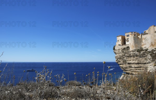 Ville haute or upper town on the Île de Fazio headland, medieval old town, Bonifacio, Corse-du-Sud