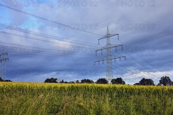 High-voltage pole, high-voltage line, cornfield, grass, blue sky, cumulus clouds, cumulonimbus