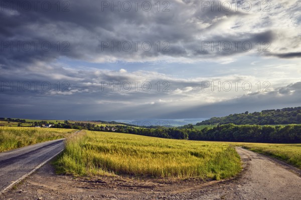 Landscape, hills, hilly landscape, confluence, dirt road, fields, cornfield, trees, meadow, haze,