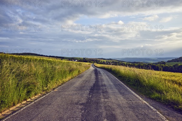 Landscape, hills, road, fields, trees, bushes, meadow, village, haze, cloudy, sunny, stratocumulus