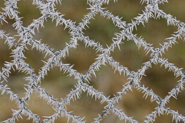 White ice crystals hang on chain link fence with colorful autumn colors in the background after an