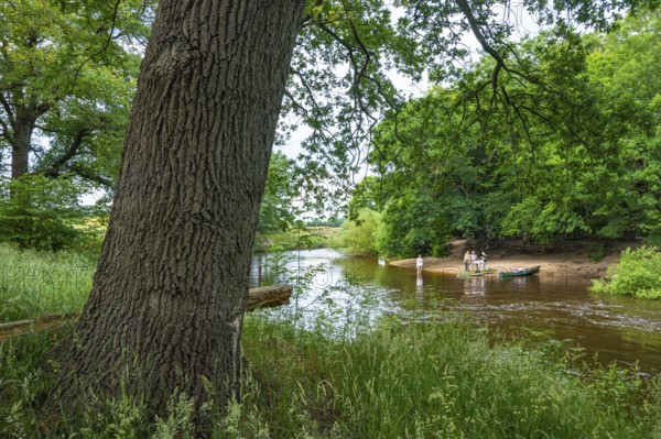 Canoeists do water sports on the Hunte near Astrup, Barneführer Holz, Wardenburg, Lower Saxony,
