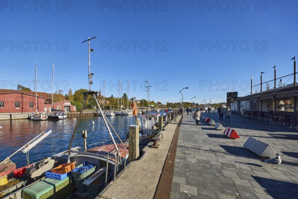 Harbour, harbour basin, wharf, ships, fishing trawlers, sailboats, duckdalves, general