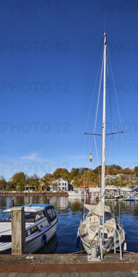Sailboat, harbor, harbor basin, wharf, boats, duckdalves, general architecture, buildings, trees,