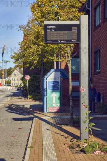 City Hall bus stop, general architecture, Tempo 30 sign, street, sidewalk, trees with autumn