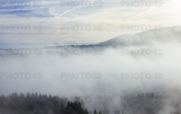 Autumn landscape, trees rising from the fog, inversion weather, Mondseeland, Salzkammergut, Upper