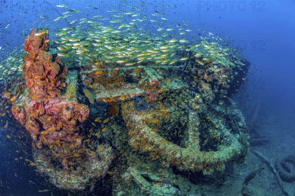 Underwater photo Large cog and parts of former sunken tin excavator Boonsung wreck off the coast of