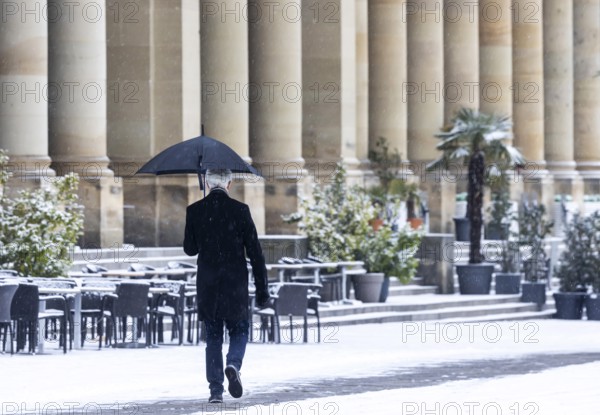 Winter in Stuttgart. There is a closed blanket of snow in the city center. Palm trees and other