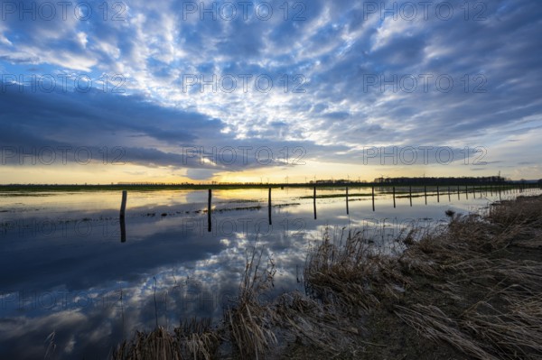 Evening sky is reflected in high water in Ochsenmoor am Dümmer, Ochsenmoor, Hüde, Lower Saxony,