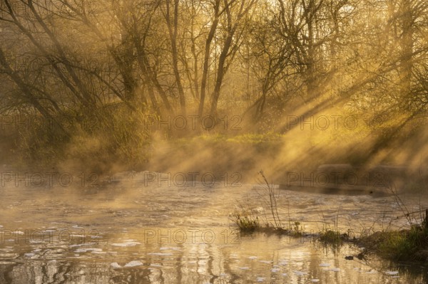 Fish ladder at sunrise with light rays on the Hunte near the weir in Bühren, Colnrade, Bühren,