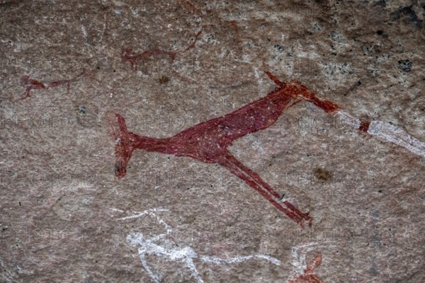 White Lady Rock Painting, White Lady Painting, Depiction of Hunters and Animals, Rock Paintings in