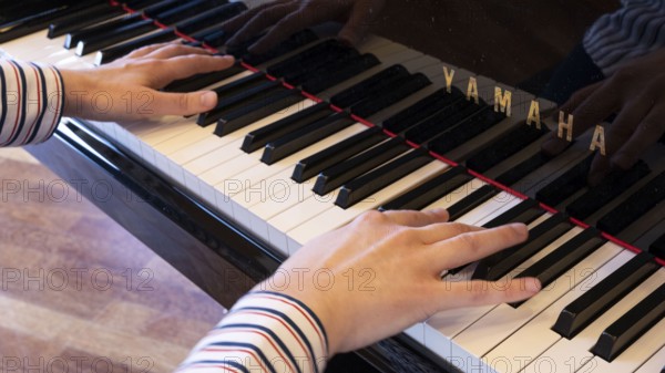 Hands playing a piano, Stapelfeld, Cloppenburg, Lower Saxony, Germany