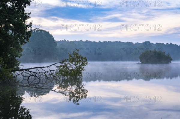 Daybreak with fog at blue hour in the Ahlhorner Fischteiche nature reserve of the Lower Saxony