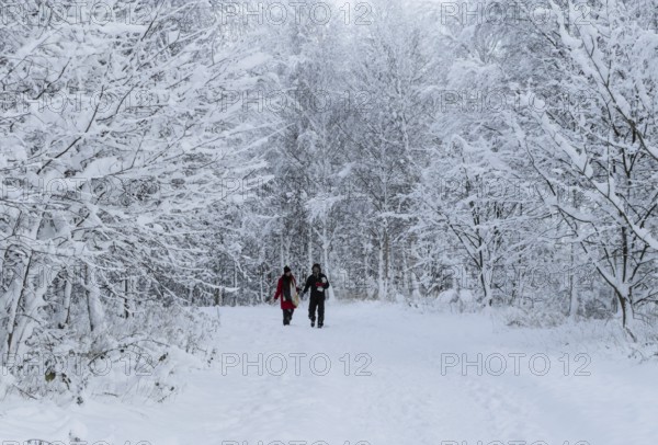 A couple walks on a snow-covered path under snow-laden branches in Ystad, Skåne County, Sweden,