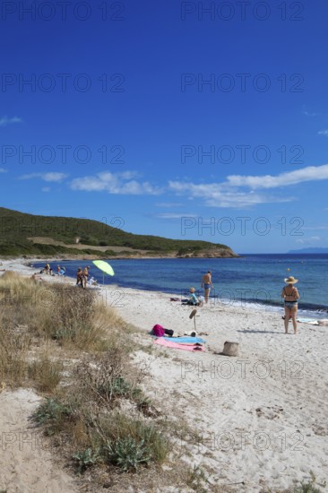 Plage de Tamarone sandy beach, Cap Corse, Haute-Corse Department, Corsica, Mediterranean Sea,