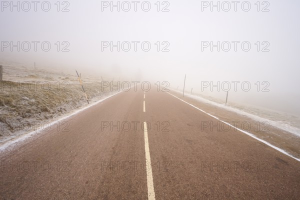 Foggy road stretching into the unknown, winter, Route de Cretes, Hohneck, La Bresse, Vosges, France