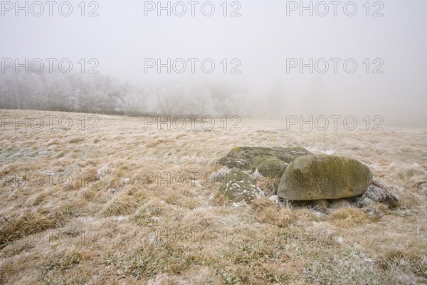 Scattered rocks on a frosty, foggy meadow, winter, Route de Cretes, Hohneck, La Bresse, Vosges,