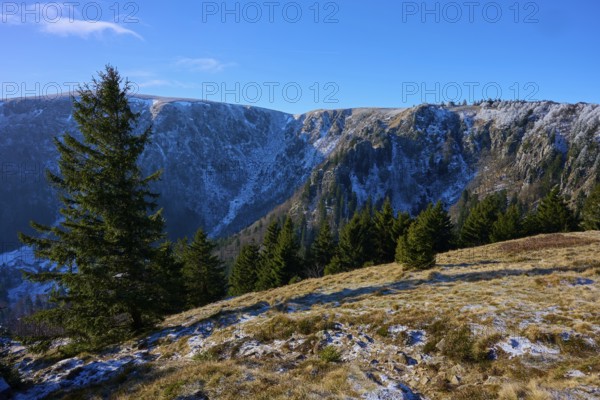 Snowy mountain landscape with spruce trees in the foreground, viewpoint, Martinswand, Frankental,