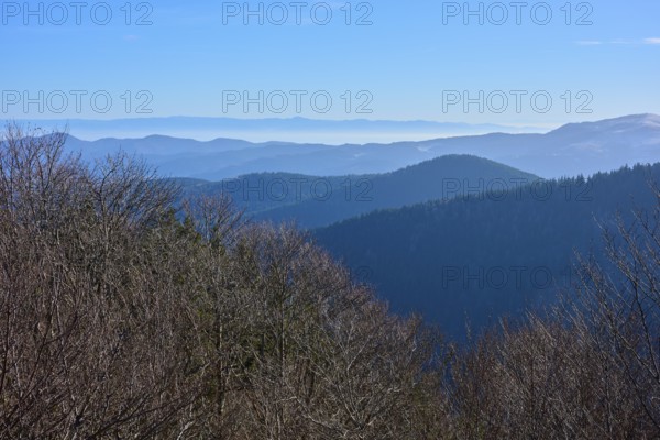 Gentle mountain silhouettes stretch into the distance under a clear sky, morning, viewing, Rhine