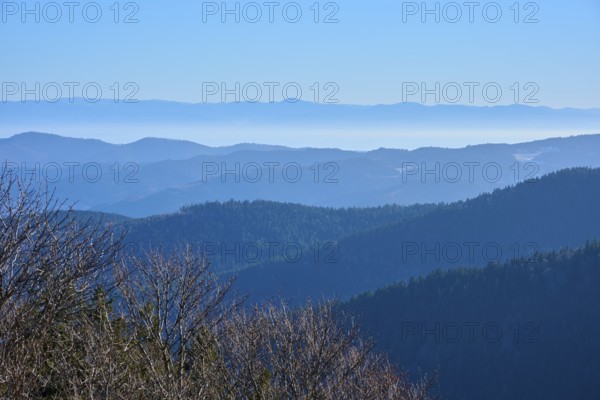 View of tiered mountain ranges with calm sky and forest, morning, view, Rhine Valley, Martinswand,