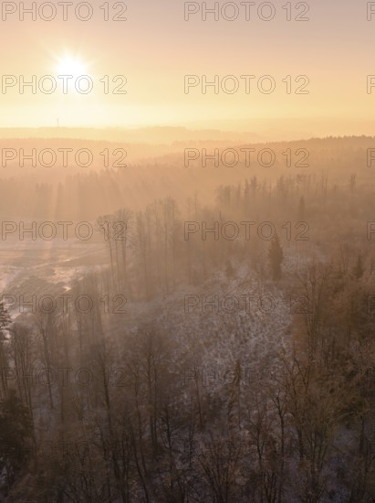 Forest landscape with trees and soft morning light fog, old deposit, construction site for PV open