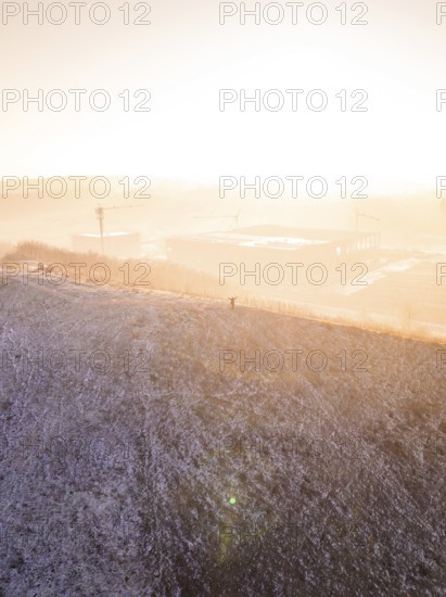 A hill in fog at sunrise, warm and cold color effects, old deposition, construction site for PV