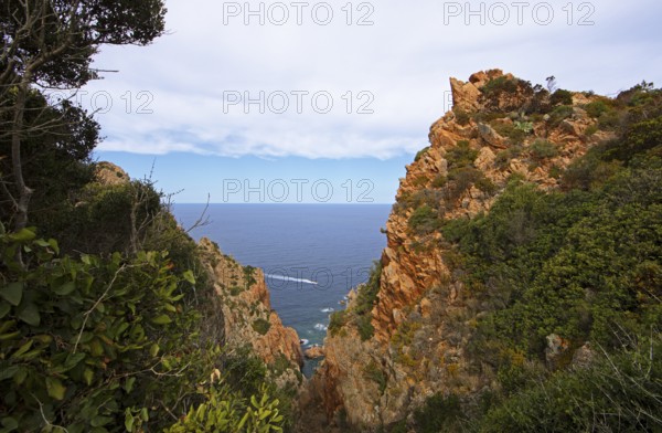 Bizarre rock formations on Capo Rosso, Piana, Corse-du-Sud department, west coast, Corsica,