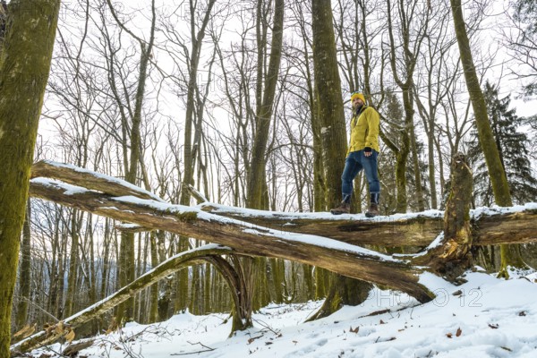 Man wearing winter clothing standing on a large fallen tree trunk covered with snow, enjoying a