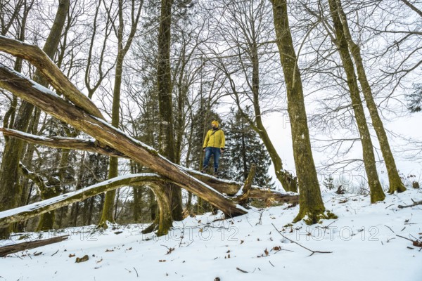 Man wearing a yellow jacket and beanie standing thoughtfully on a large fallen tree trunk in a snow
